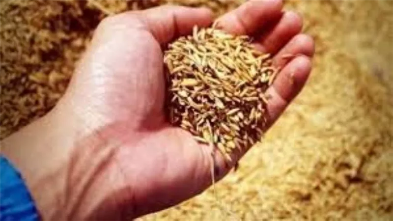 أمريكا تطالب روسيا بالعودة لصفقة الحبوب والتوقف عن مهاجمة أوكرانيا