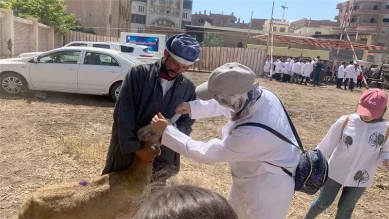 بيطري الغربية: قافلة للكشف وتقديم العلاج لـ436 حيوانا و5500 طائر