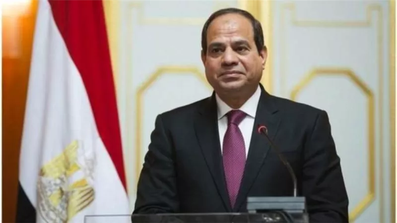 السيسي يوجه بالاستمرار في جهود توفير المناخ الداعم لقطاع الصناعات الوطنية الثقيلة