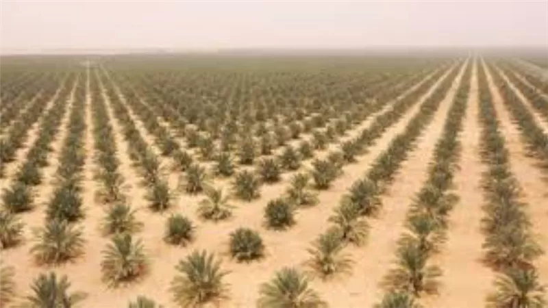 السيسي: مشروع توشكى خطوة في مشوار مصر إلى التنمية
