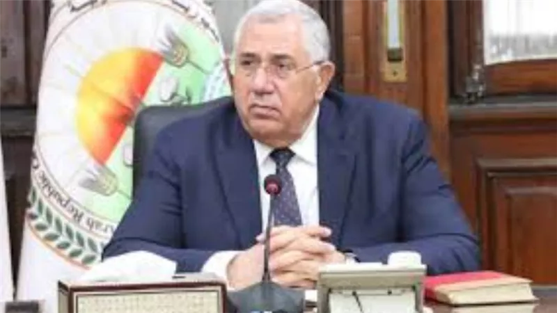 القصير: الإفراج عن 167 ألف طن أعلاف بـ75 مليون دولار خلال أسبوع