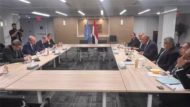 سامح شكري يلتقي نائب رئيس الوزراء ووزير الخارجية والدفاع الأيرلندي