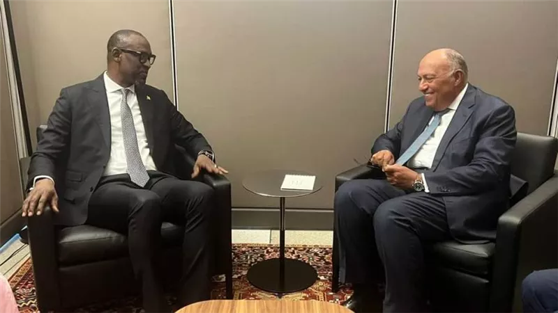 سامح شكري يلتقي وزير خارجية مالي