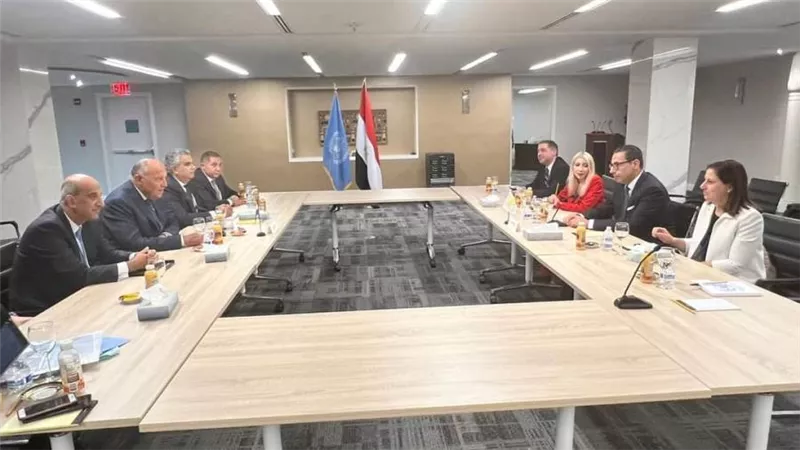 شكري ونظيره القبرصي يؤكدان قوة ومتانة علاقات الصداقة الاستراتيجية التي تجمع مصر وقبرص