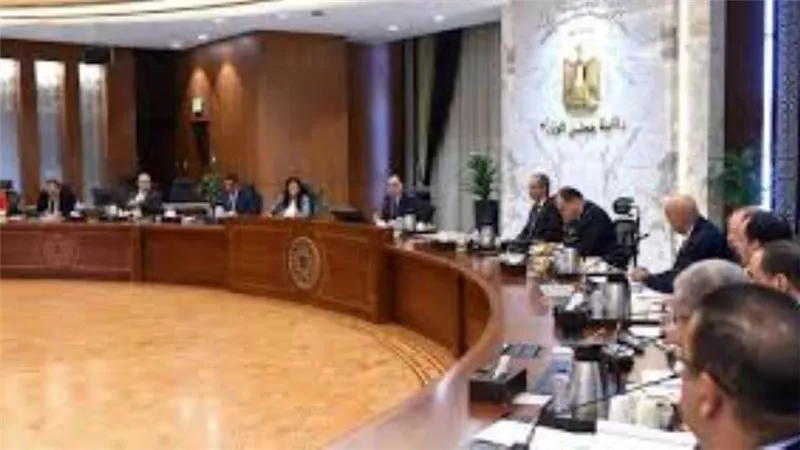 الحكومة: تأسيس شركة لتمويل المشروعات متناهية الصغر لتخفيف الأعباء على المواطنين