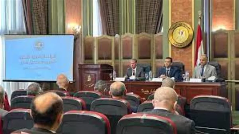 رئيس الوطنية للانتخابات يبحث مع وزير الخارجية الاستعدادات لتصويت المصريين بالخارج