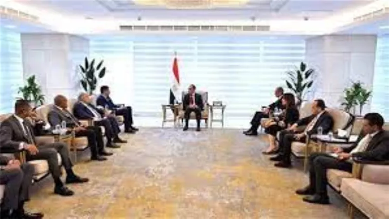رئيس الوزراء يبحث مع مسئولي فوداكوم زيادة استثمارات الشركة في مصر
