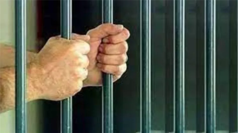 المشدد 10 سنوات للمتهم بالإتجار في الأسلحة النارية والذخائر بالقليوبية