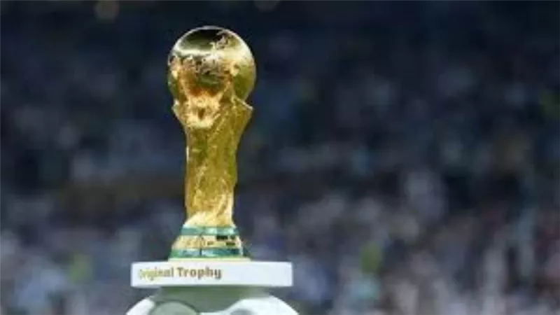 إندونيسيا تؤكد دراسة الترشح لاستضافة كأس العالم 2034 رفقة أستراليا