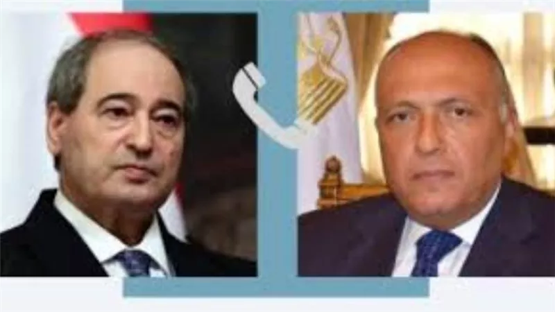 شكري: إنفاذ المساعدات الإنسانية للفلسطينيين ضرورة لا غنى عنها