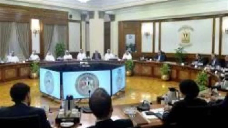 وزير الاستثمار الإماراتي: توجيهات من محمد بن زايد لزيادة الاستثمارات في مصر