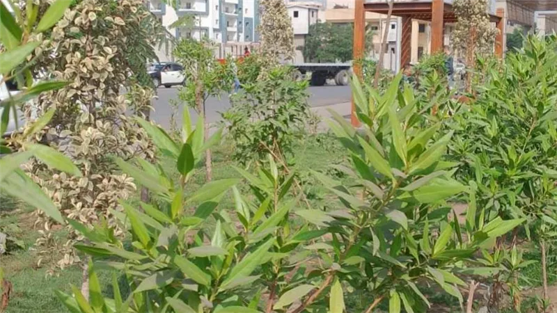 وزير التنمية المحلية يوجه فرق عمل من الوزارة للقيام بحملات تفتيشية لمتابعة نتائج تنفيذ المرحلة الأولى للمبادرة على مستوى الجمهورية