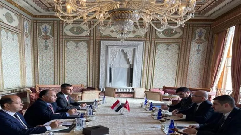 وزير المالية: تعميق العلاقات الاقتصادية وتعزيز التعاون في السياسات المالية وتبادل ونقل الخبرات (صور)