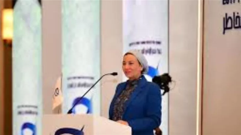البيئة: وفاة 250 ألف شخص سنويا بسبب الظروف المناخية والخسائر 313 مليار دولار