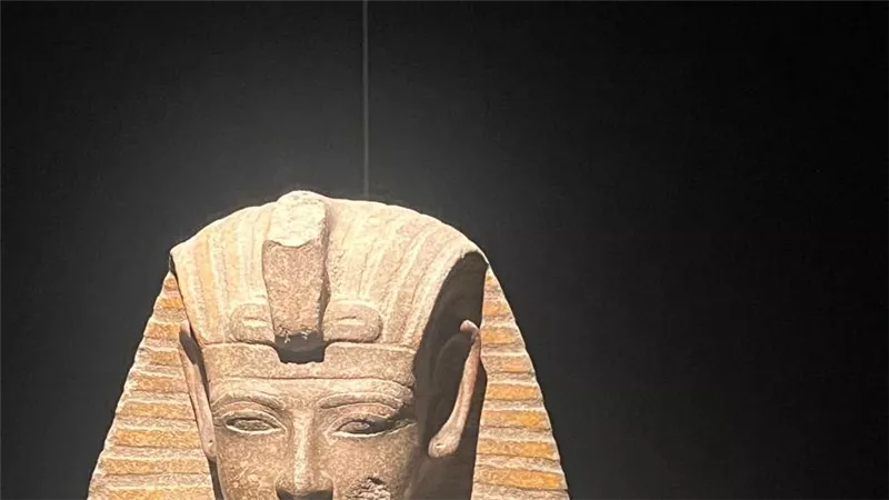 وزيري يستعرض تاريخ معرض رمسيس وذهب الفراعنة