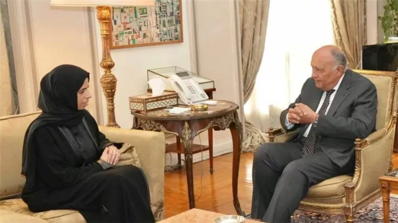 سامح شكري يلتقي وزيرة الدولة للتعاون الدولي لدولة قطر