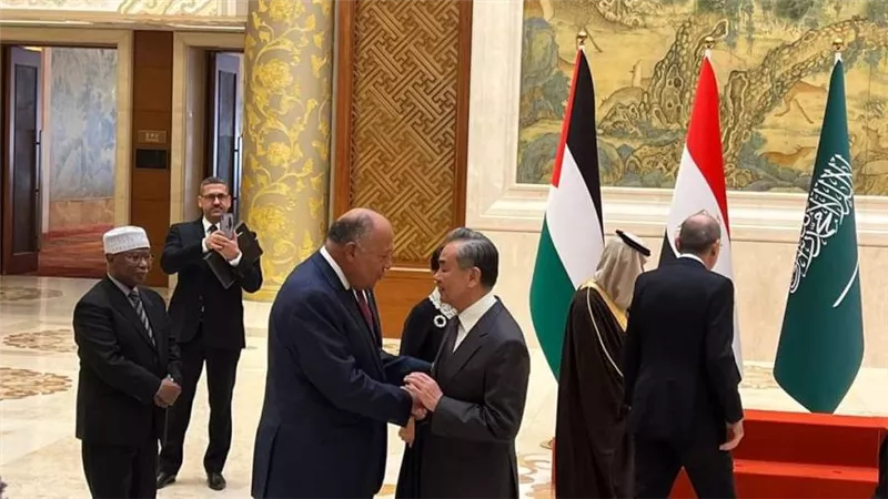 سامح شكري وأعضاء اللجنة الوزارية يلتقون في أولى محطاتهم ببكين مع كل من نائب الرئيس الصيني ووزير الخارجية