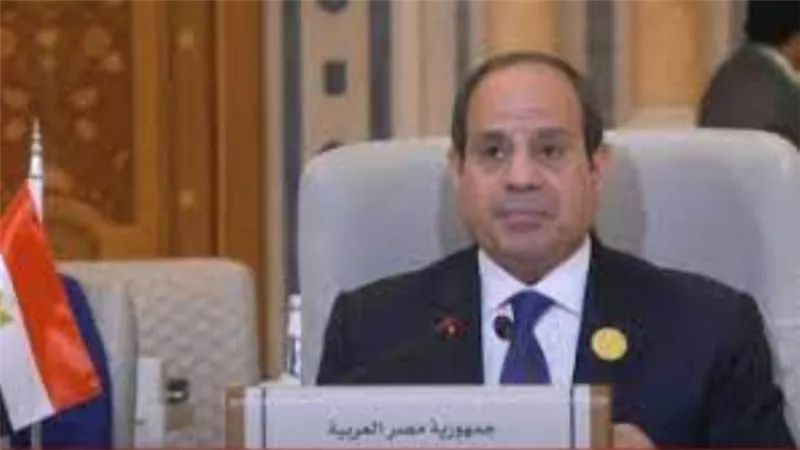 الرئيس السيسي: الدولة المصرية بكافة أجهزتها ومؤسساتها مستمرة في تقديم الدعم لفلسطين