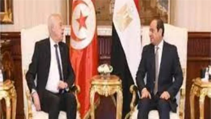 تحرك عاجل.. الرئيس السيسي ونظيره التونسي يتفقان على تقديم كافة سبل الدعم لإغاثة أهالي غزة