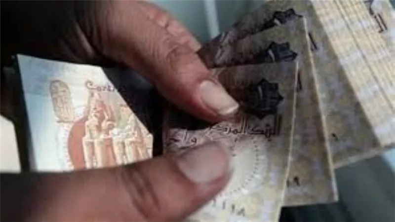 رد رسمي من الحكومة على تعويم الجنيه وسعر الدولار: مفاجأة كبيرة