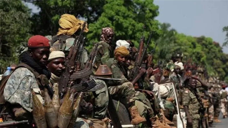تعاون مرتقب بين مصر وأفريقيا الوسطى في الصناعات الدفاعية والذخائر