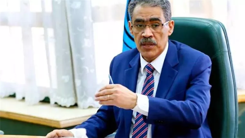 ضياء رشوان : جهود مصرية لزيادة عدد شاحنات الإغاثة لغزة لـ80 يوميًا
