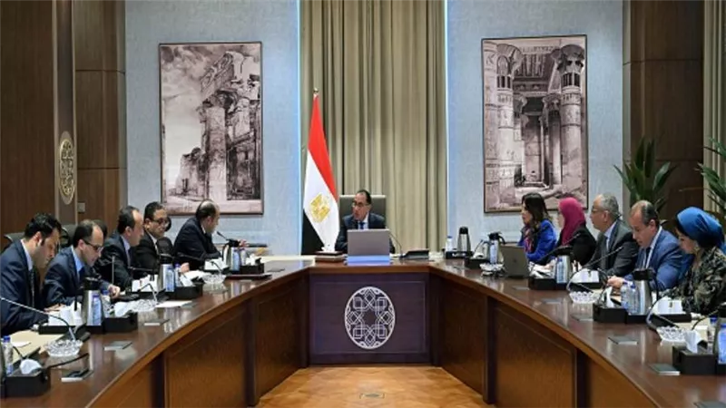 رئيس الوزراء يستعرض مقترحات زيادة التبادل التجاري مع الدول الإفريقية (صور)