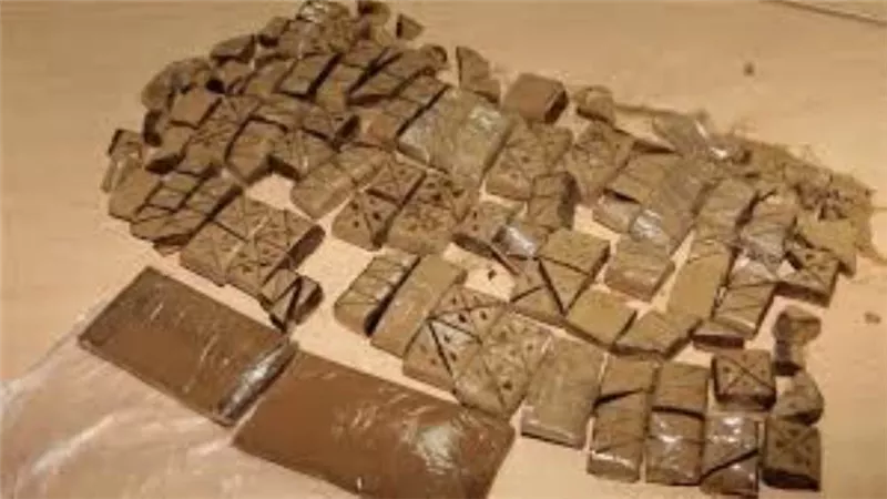 السجن 3 سنوات لمتهم بإحراز الحشيش وتغريمه 50 ألف جنيه