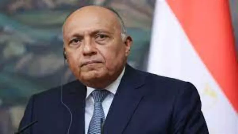 شكري: حل الصراع في غزة لن يتأتى إلا بإنهاء الاحتلال وإقامة الدولة الفلسطينية