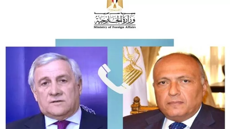 شكري يتلقى اتصالا من وزير الخارجية الإيطالي