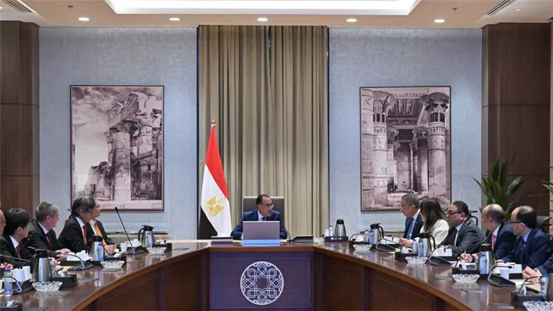 رئيس الوزراء يلتقي وفد 