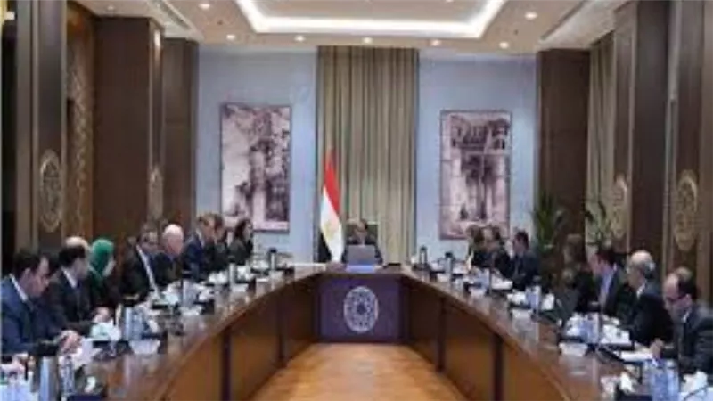 رئيس الوزراء يناقش سبل دعم حوكمة إدارة الشركات المملوكة للدولة