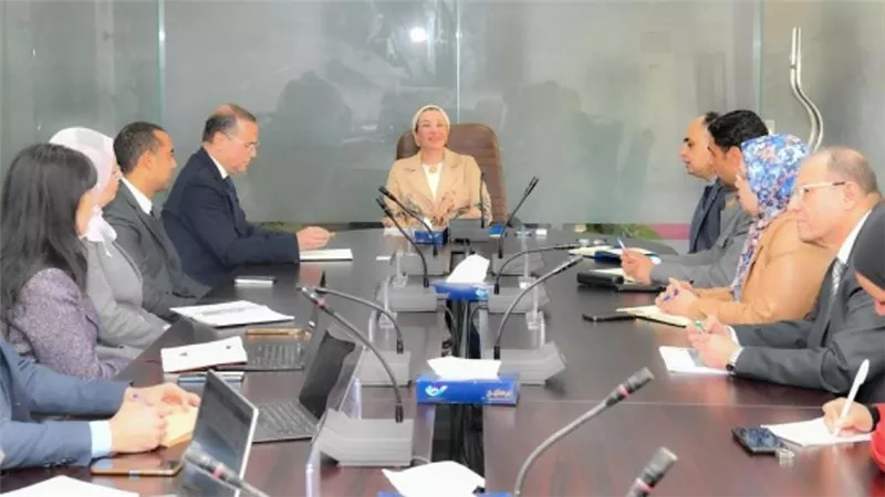 وزيرة البيئة تناقش مع المدير الإقليمي لمنظمة اليونيدو بمصر التعاون الحالي والمستقبلي في الربط بين الصناعة والبيئة 