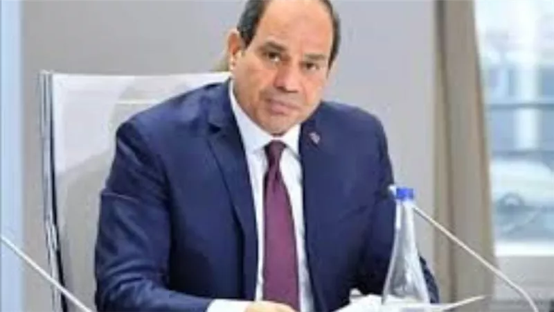 السيسي: العمل الإفريقي المشترك يمر بمرحلة مفصلية