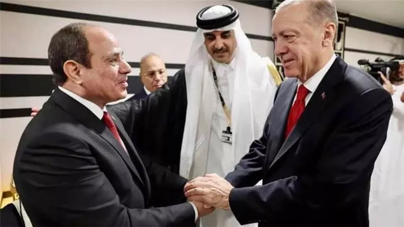 الرئيس السيسي: مصر وتركيا تواجهان تحديات مشتركة مثل الإرهاب والأزمات الاقتصادية