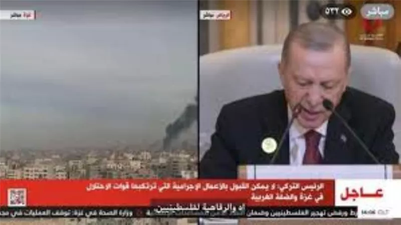 أردوغان: لا نقبل تهجير الفلسطينيين وتصفية القضية.. ونقدر موقف مصر