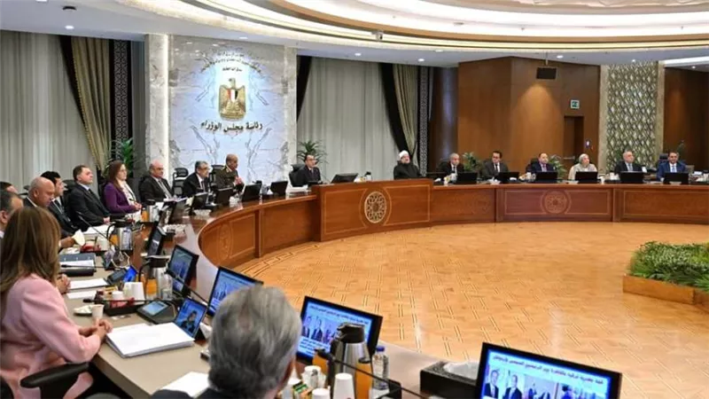 مجلس الوزراء يحدد سعر ضمان لتوريد القطن للموسم 2024/2025
