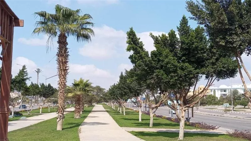 مسئولو أجهزة المدن الجديدة يتابعون مشروعات رفع الكفاءة والتطوير بعدة مناطق (صور)
