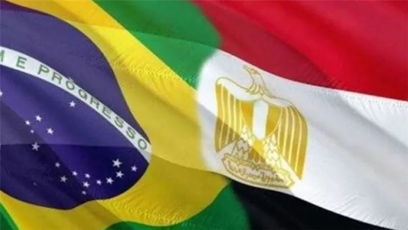 مصر والبرازيل تؤكدان الالتزام بالعمل معاً لبناء نظام دولي أكثر ازدهارا