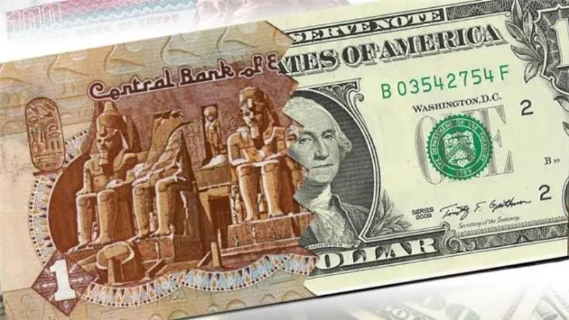 34 مليون جنيه.. الداخلية توجه ضربة قوية لتجار الدولار
