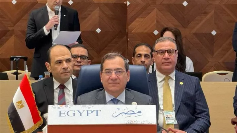 حضور مصري فاعل في القمة السابعة لمنتدى الدول المصدرة للغاز بالجزائر