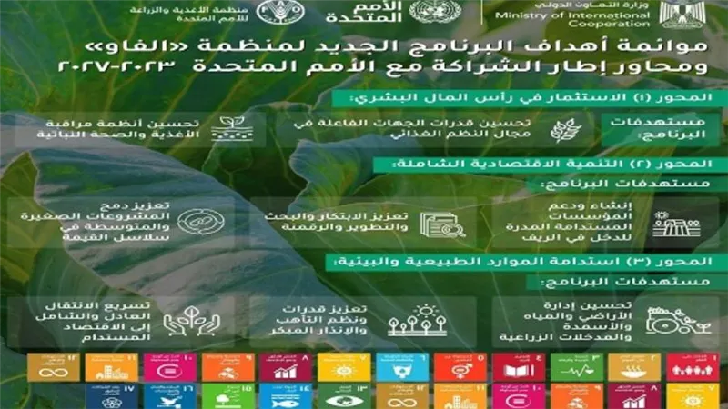  كل ما تريد معرفته عن التعاون بين مصر ومنظمة الأغذية والزراعة للأمم المتحدة «الفاو» (انفوجراف)