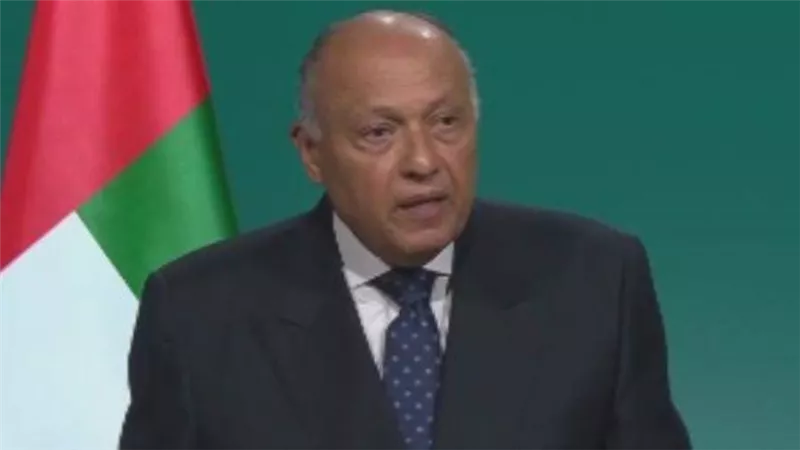 سامح شكري: يجب إنهاء التجويع في غزة ووقف إطلاق النار وإدخال المساعدات