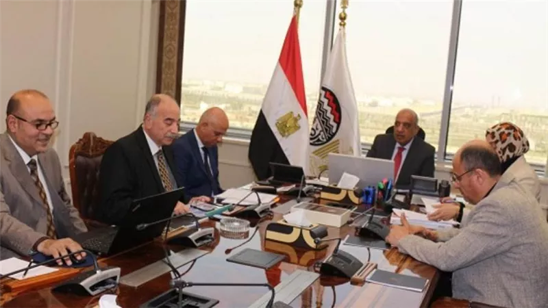 وزير قطاع الأعمال يستعرض خطة تطوير فروع التجارة الداخلية بالتعاون مع القطاع الخاص