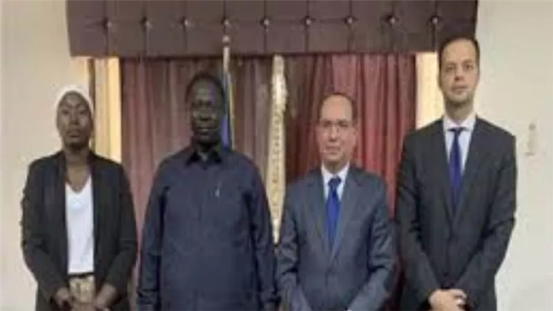 القاهرة: مصر وجنوب السودان يبحثان تعزيز التعاون في القطاع الصحي