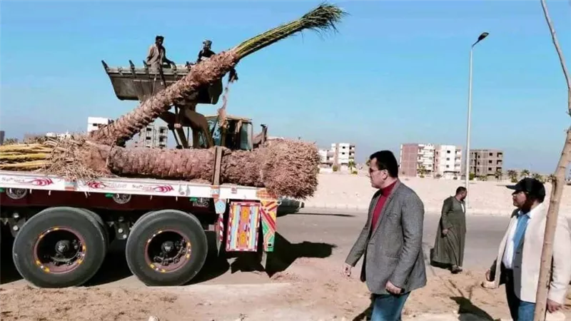 رؤساء أجهزة مدن بني سويف وطيبة الجديدة والعبور يتفقدون أعمال تطوير ورفع كفاءة الطرق والصيانة