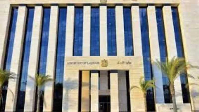 مكاتب التمثيل العمالي بالخارج.. 297 ألف فرصة عمل واسترداد مليار جنيه مستحقات لأصحابها
