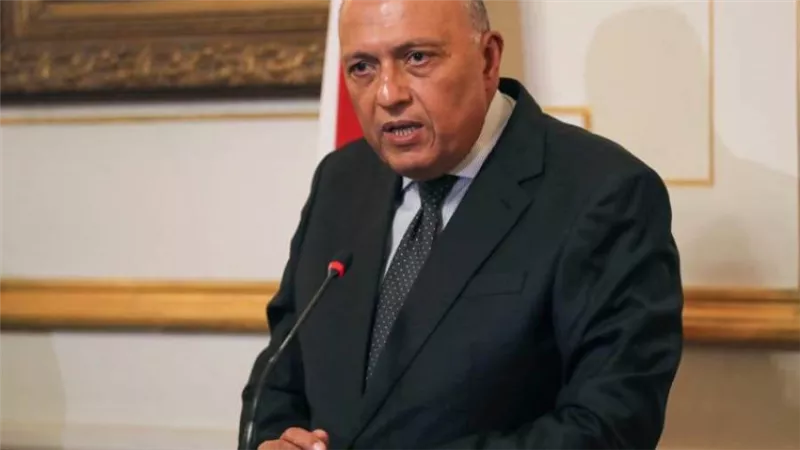 شكري: أي تهجير جماعي ناجم عن عمليات عسكرية برفح سيكون بمثابة جريمة حرب