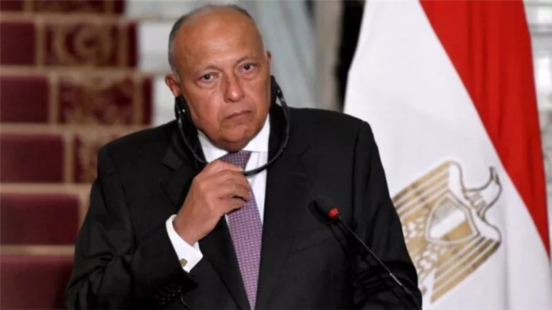 شكري: نركز على وقف الحرب في غزة وإيجاد مسار سياسي لإقامة دولة فلسطينية