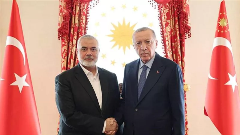أردوغان يستقبل سامح شكري خلال زيارته لإسطنبول